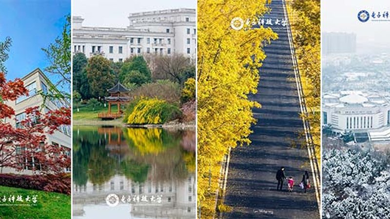 深圳电子科技公司采购报价：揭秘合理报价背后的关键因素