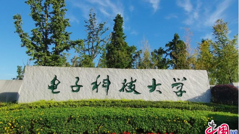 汽车连接器定制：揭秘定制化背后的技术密码